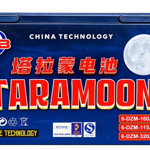 A TARAMOON 6-DZM Battery